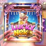 Lucky Neko PG៖ ហ្គេមសកម្មភាពដ៏រំភើបសម្រាប់ Android